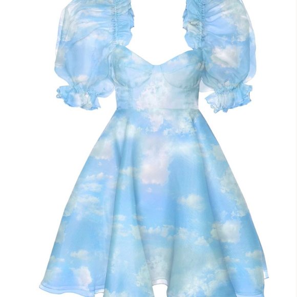 Selkie Head in the Clouds Parliament Dress - Picture 3 of 3